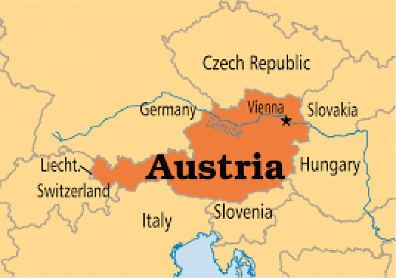 Europarlamentar: ‘Austria a fost izolată!’
