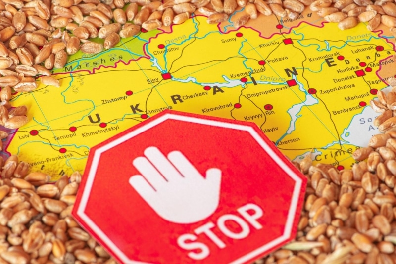 Cinci state membre UE, printre care și România, cer taxe de import pentru cerealele din Ucraina