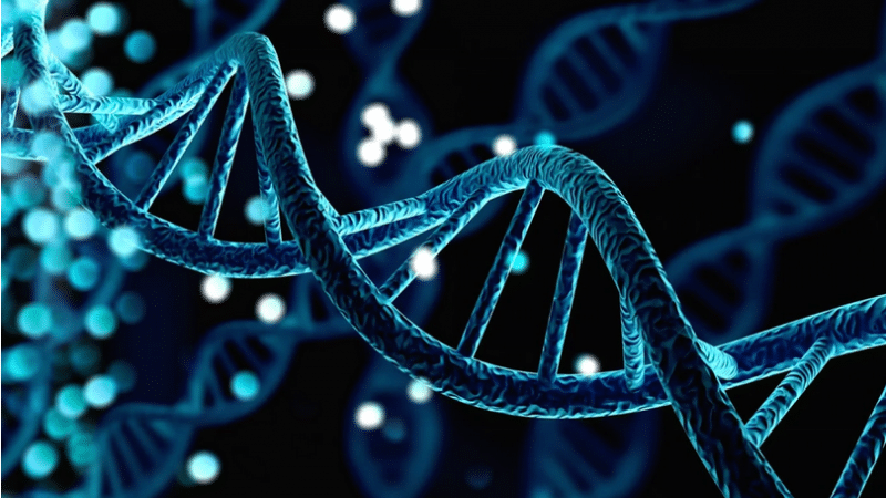 Oamenii de știință au identificat o nouă mutație care declanșează o boală nemiloasă