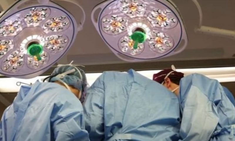 A fost efectuat primul transplant de rinichi de la un porc la un om