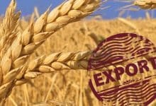 Afacerea anului pe piața cerealelor se întâmplă în România