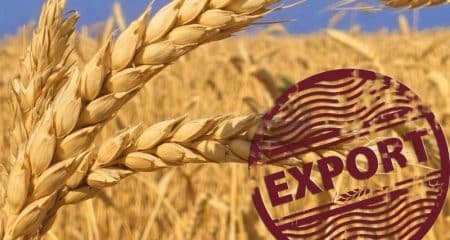 Afacerea anului pe piața cerealelor se întâmplă în România