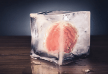 s-a găsit în sfârșit o modalitate de a dezgheța țesutul cerebral uman congelat