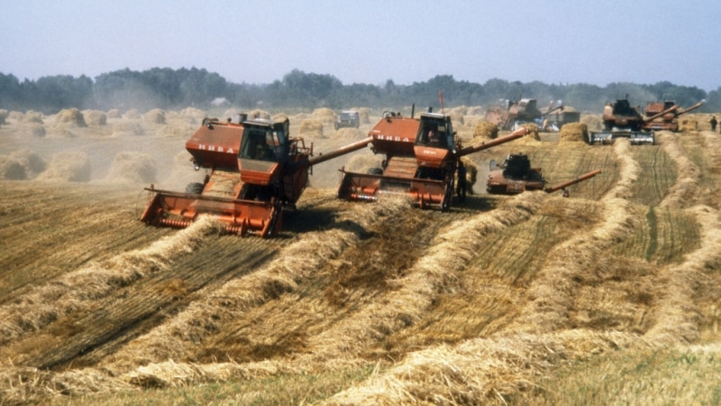 O treime din teritoriul României și 40% din suprafața agricolă se află în zone care prezintă risc de deșertificare