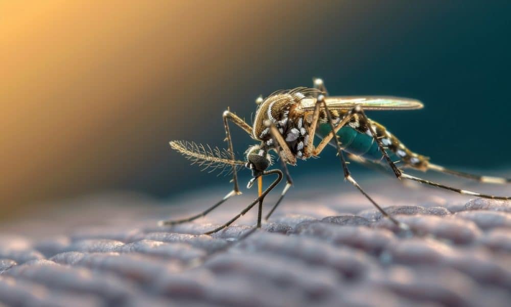 Două cazuri de infecţie cu virusul West Nile