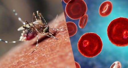 Orașul nigerian faimos pentru neîncrederea în vaccinuri unde malaria face ravagii