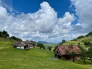 Charlie Ottley, producătorul seriei BBC „Wild Carpathia”, și-a cumpărat o fermă în județul Brașov: „Am 6.000 de metri pătrați de paradis”