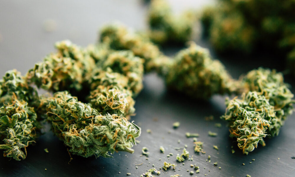 Poliția din Turcia a ars 20 de tone de canabis în centrul unui oraș. Locuitorii au avut HALUCINAȚII: „Copiii noștri s-au îmbolnăvit”