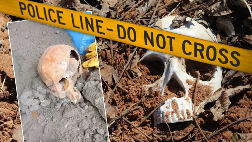 Poliția, despre osemintele găsite la Coșnița: Pe teritoriu ar fi fost un cimitir