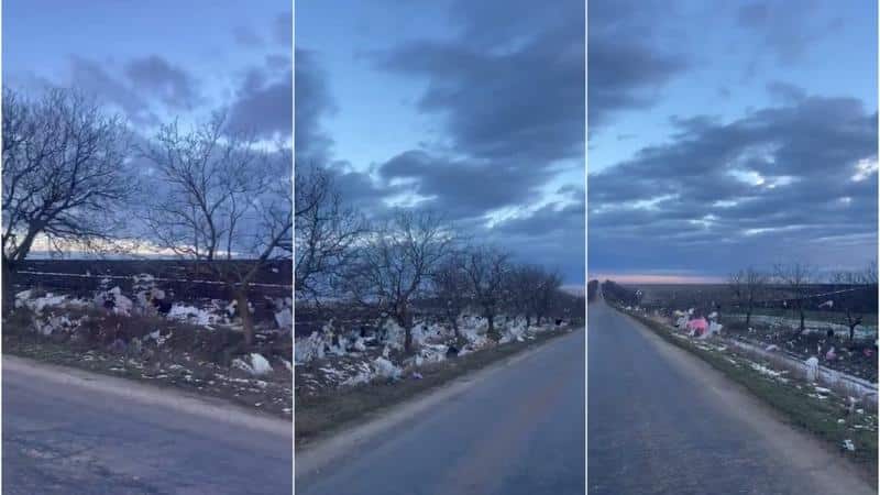 Peisaj dezolant la Căușeni. Un traseu a fost transformat în groapă de gunoi, cu deșeuri și pe copaci: „Rușine mare, aceasta e Europa?!”
