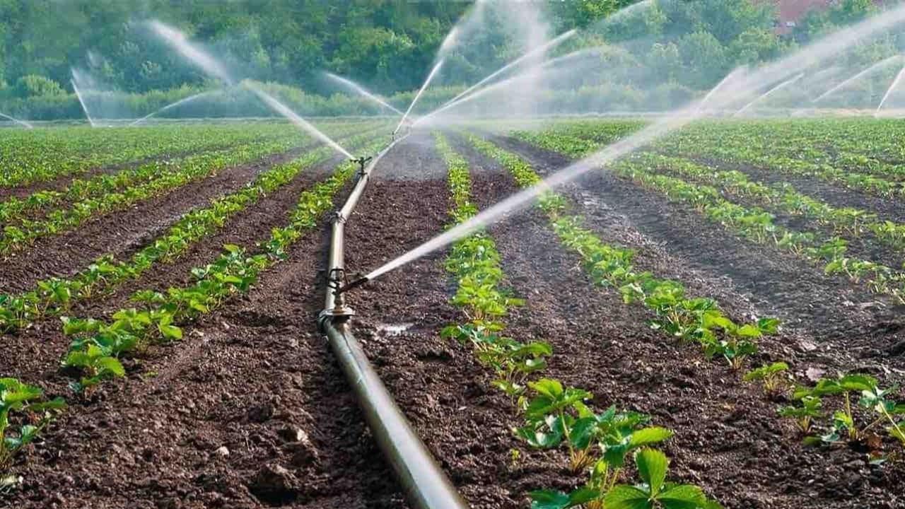 Granturi de până la 7 500 de dolari pentru irigare, destinate agricultorilor mici