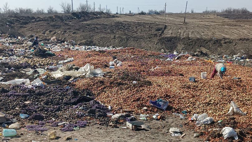 Tone de ceapă, aruncate la groapa de gunoi lângă satul Gura Bâcului