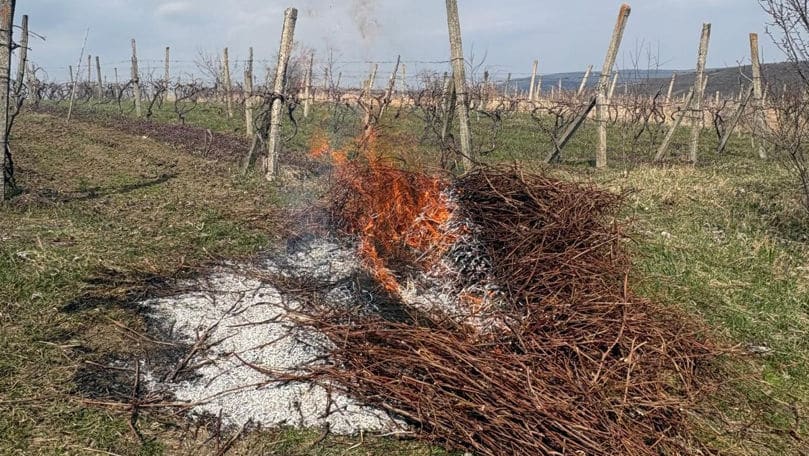 Razii de mediu la Călărași: Au fost aplicate amenzi de peste 31.000 de lei