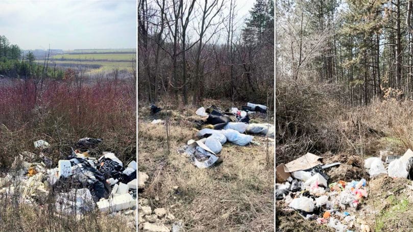 Pădurea de la Ghidighici, transformată în groapă de gunoi: Autoritățile, sesizate