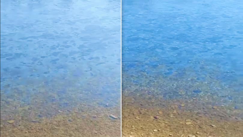 VIDEO: Pete de carburanți, observate pe râul Nistru