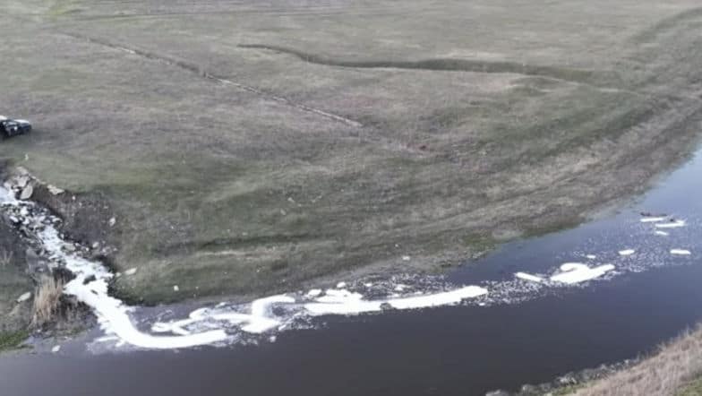 VIDEO// Alertă ecologică la Orheiul Vechi: Râul Răut, din nou grav poluat