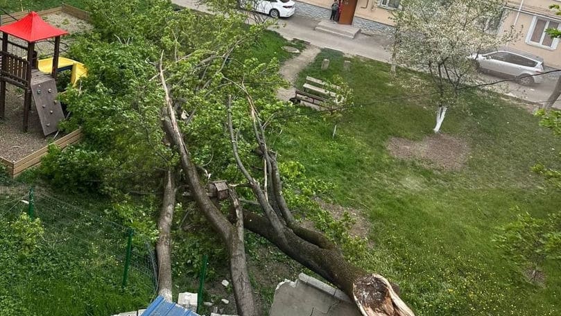 Cod Portocaliu de vânt: Copaci doborâți, acoperișuri rupte și pagube în Chișinău