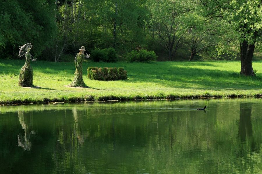 Prejudicii de milioane de lei la Grădina Botanică: Auditul MEC, transmis către CNA