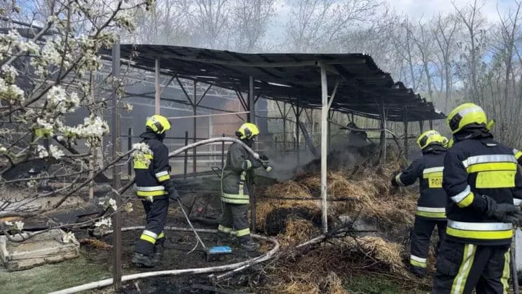 Mărturii după incendiul de la hipodromul din Chișinău: Proprietarul era șocat
