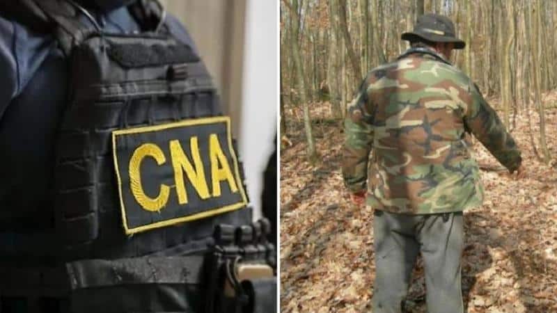 Funcții de pădurar, „vândute” cu 8.000 de euro la Moldsilva: CNA a descins cu percheziții și a reținut un bărbat
