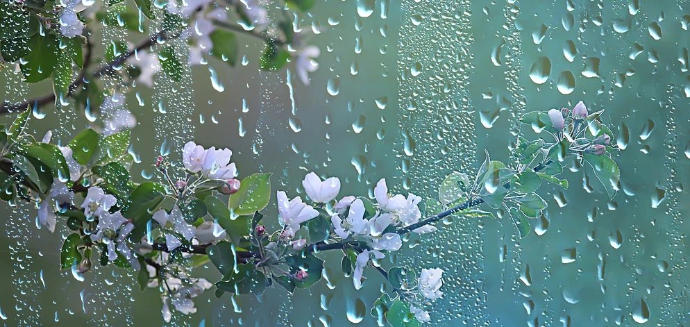 Ploi slabe în nordul R. Moldova și cer variabil în restul țării