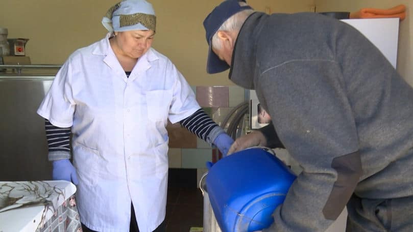 Colectarea laptelui din Glodeni riscă să fie sistată. Fermieri: Vom vinde vacile