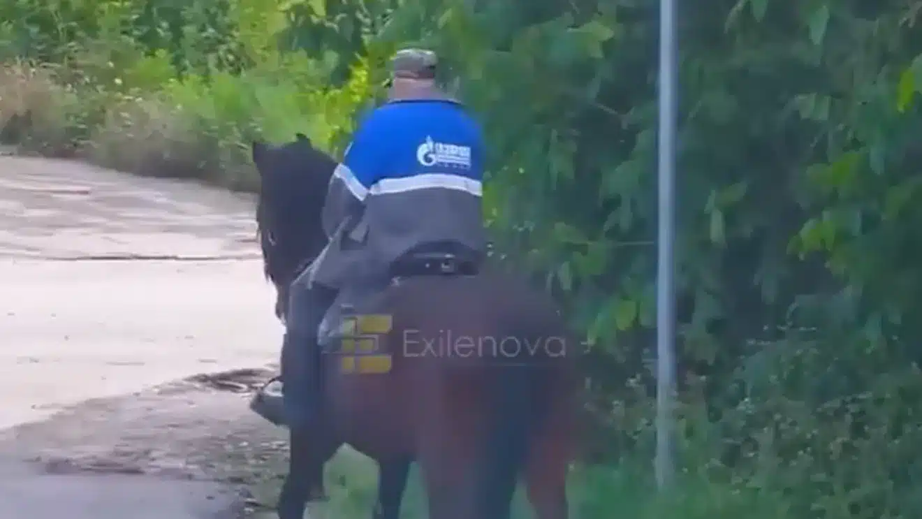 VIDEO: Localnicii din Crimeea încep să folosească caii pentru transport din cauza lipsei de combustibil