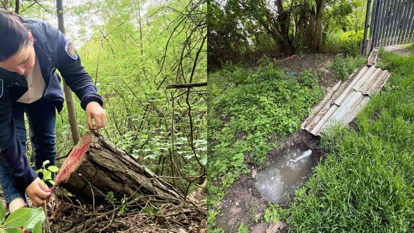 Tăieri ilegale de arbori și deversări de ape uzate, descoperite la Florești