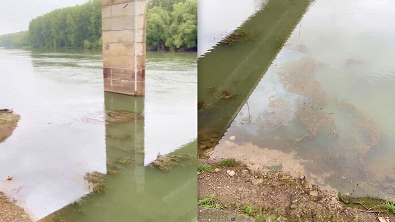 Pete de ulei au fost observate din nou pe râul Nistru