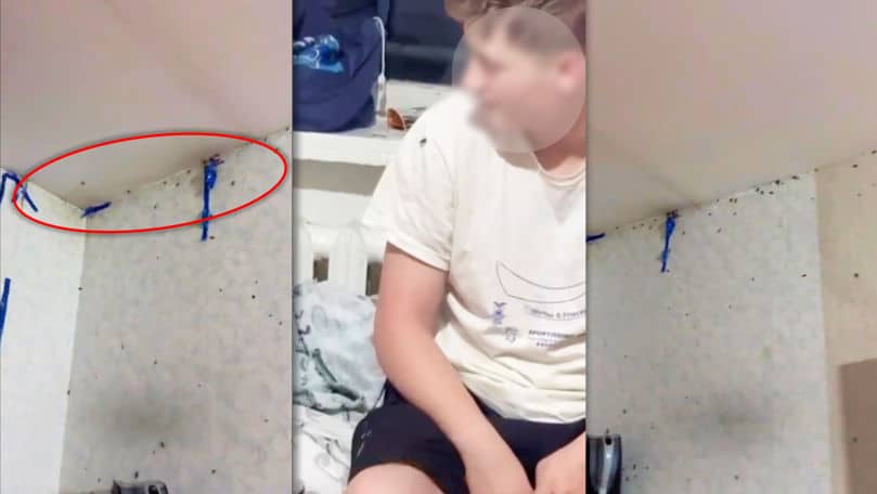 Gândaci într-un cămin al UTM: Studenții reclamă condiții de trai necorespunzătoare