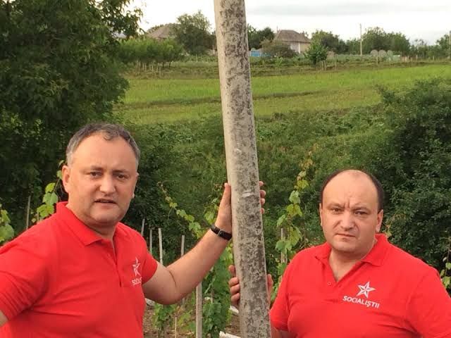 Fratele lui Igor Dodon a pierdut în primă instanță procesul cu SIS