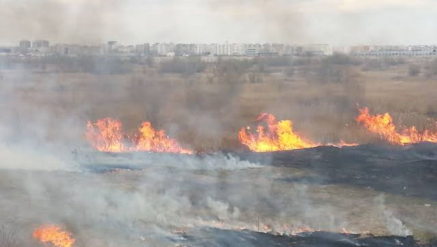 Incendiu de amploare la Pervomaisc: Zeci de hectare au ars din cauza unei țigări