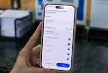 Actul de identitate din telefon, acceptat la secțiile de vot: alegătorii scanează codul QR