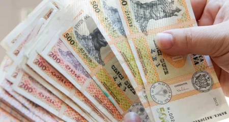 Aproape 34.000 de lei lunar pe adult, venitul necesar unui trai decent în Moldova