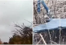 Dronă rusească doborâtă lângă Moldova ar fi tip Gerbera: MAE condamnă încălcarea spațiului aerian