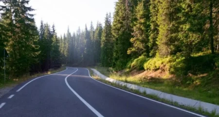 Oferte trucate la drumuri: firmele și-au împărțit contracte de aproximativ 1,75 miliarde de lei